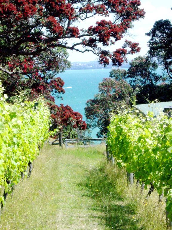 Waiheke Island Vineyard Holiday Houses Surfdale Экстерьер фото